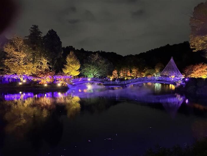 町田薬師池公園四季彩の杜 薬師池 紅葉まつり(2025年)