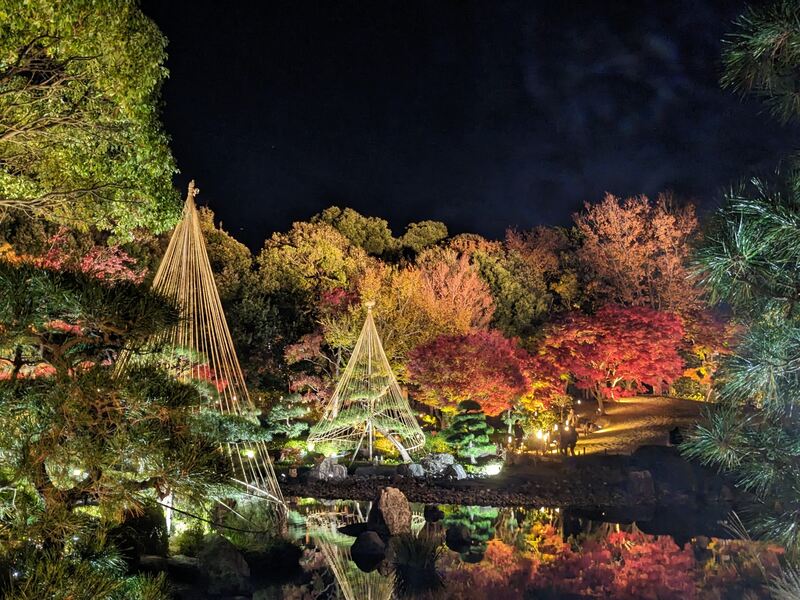 足立区花畑記念庭園で秋のライトアップ!日本庭園の紅葉を楽しもう