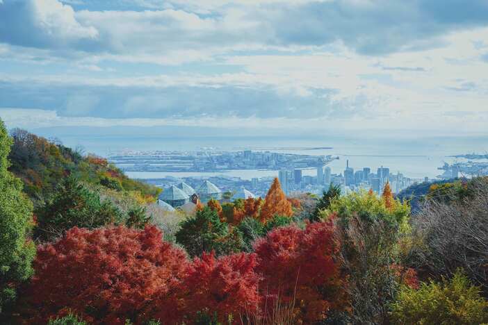ライトアップと夜景が楽しめる!神戸布引ハーブ園で紅葉が見ごろ