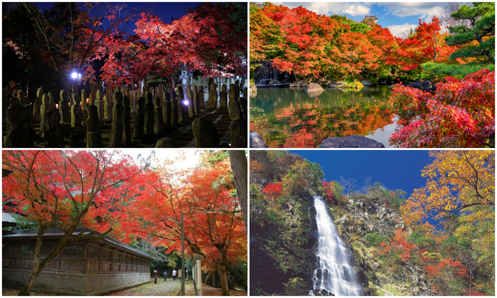 【2025兵庫】まだ間に合う&今が見頃のスポットも!紅葉名所&穴場9選 まつり・ライトアップなどの情報も