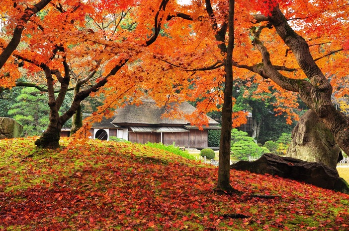 【2025】紅葉がいよいよ見頃!岡山の絶景名所7選 日本三名園&温泉&イベント満喫