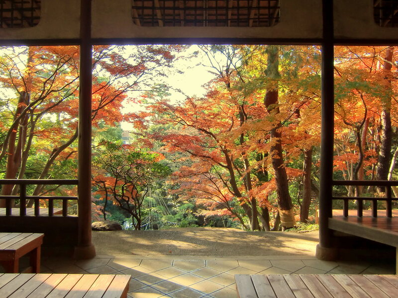 【2025東京】「駅から徒歩10分」の紅葉名所&穴場19選 いよいよ見頃!ライトアップも