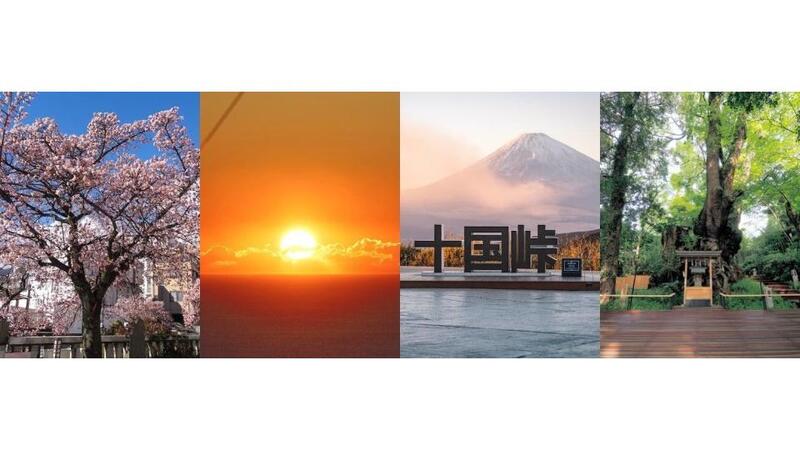 熱海で早春を満喫!桜と梅が同時に楽しめる1月のおすすめイベント5選<br/>