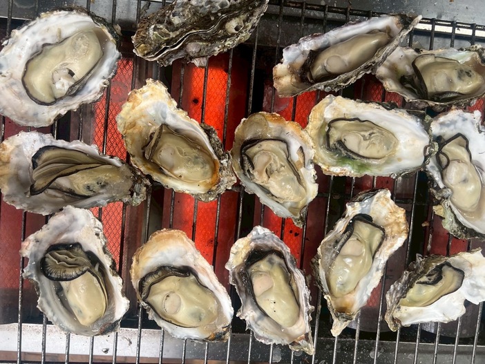 海湖館「かき小屋」