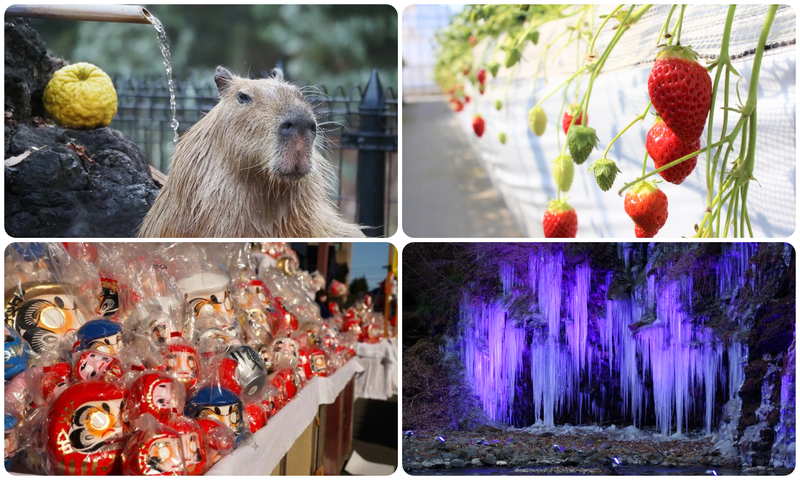 2026年1月のおすすめ観光地&穴場23選 関東から日帰り!いちご狩り・温泉・雪遊び満喫