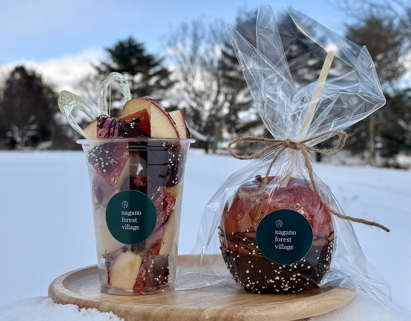 長野・飯綱高原で雪遊び!そり乗り放題や無料の宝探し、限定スイーツに宿泊割引まで親子で冬を満喫しよう