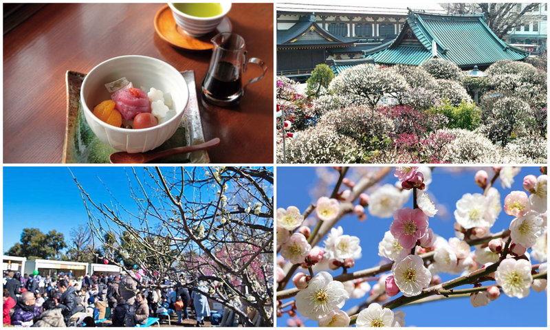 【2026東京】2月21・22・23日の三連休に楽しめる「梅まつり」9選 グルメ&ライトアップも!