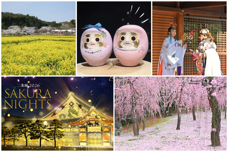 【2026京都】3月の注目イベント14選 城南宮のしだれ梅・ひな祭り・世界遺産のライトアップも