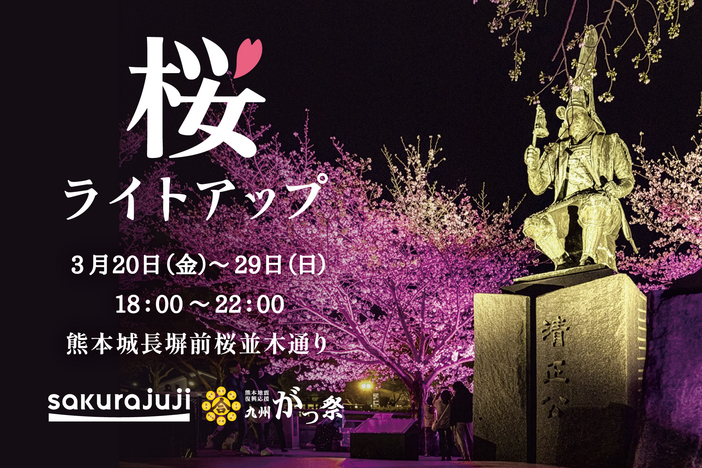 熊本城「桜ライトアップ」(2026年)