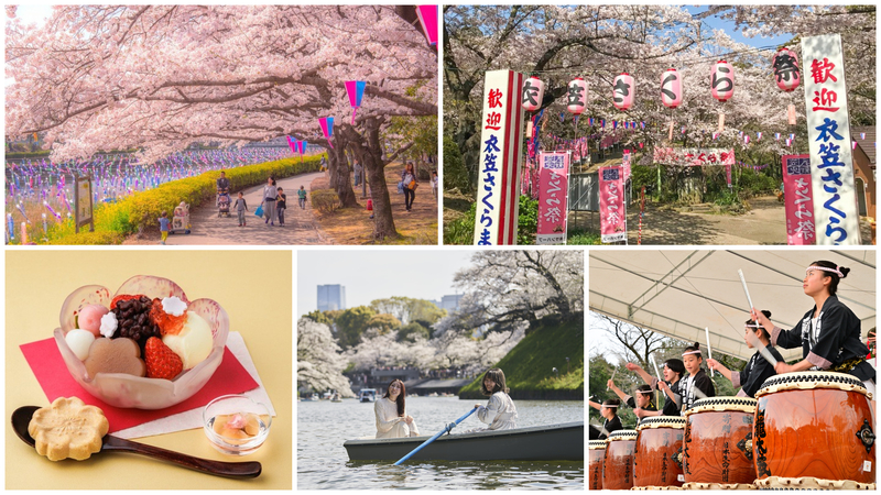 【関東】いよいよ見頃!3月28日・29日の今週末に楽しめる「桜まつり」24選 春の絶景&夜桜&屋台も