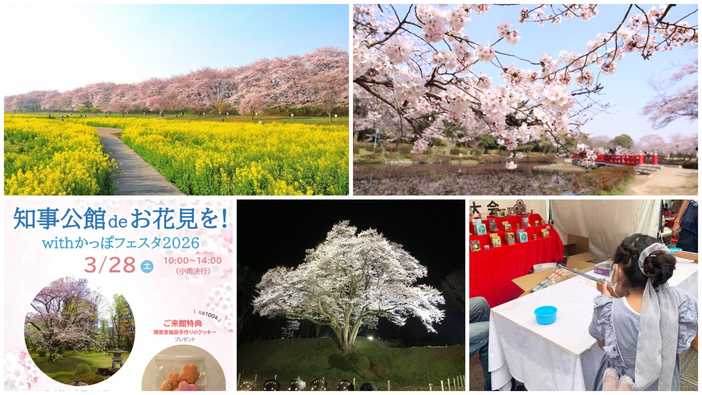 【埼玉】2026年3月28日・29日の今週末に楽しめる「桜まつり」11選! 春の絶景&夜桜&グルメも
