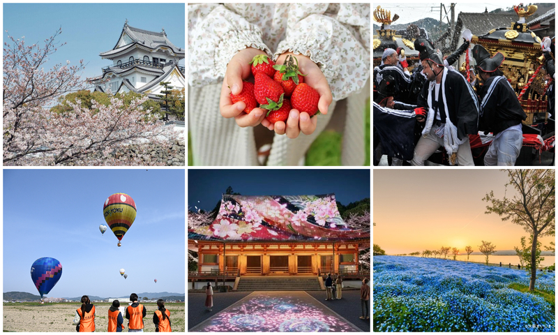 【関西】2026年4月の注目イベント20選 桜やネモフィラの絶景&ランタン打ち上げも