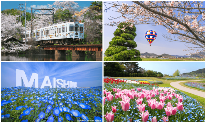 【関西】2026年4月のおすすめ観光地&穴場15選 日帰りでネモフィラ・つつじ・いちご狩り満喫