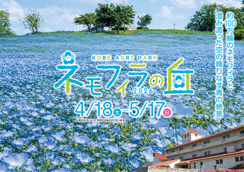 100万輪のネモフィラに包まれる感動体験!神戸アグリパークで「絶景・BBQ・陶芸」を一日中満喫しよう