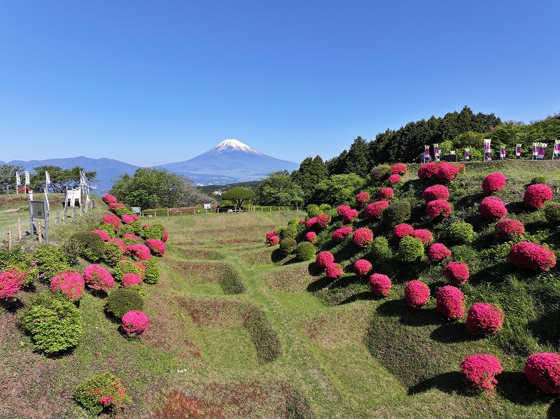 障子堀とツツジの共演が美しい!静岡・三島市「山中城跡公園」春のお花見スポット