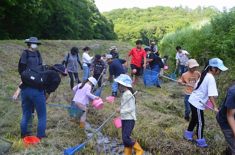 【栃木・那須烏山】ホタルの観察会|自然観察指導員と一緒にゲンジボタル・ヘイケボタルの光を楽しもう