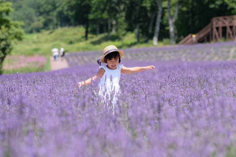 【2026】香りに包まれる至福の体験「関東のラベンダー畑&穴場」6選 いよいよ見頃!摘み取りやイベントも