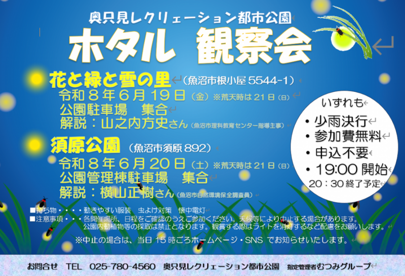 【新潟・魚沼】ホタル観察会|解説員と一緒にホタルの光を楽しもう
