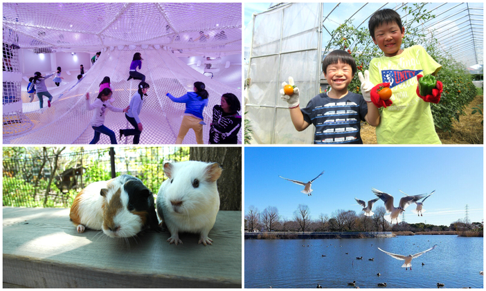 【2026東京再発見】足立区の人気観光スポット10選 入場無料の人気施設&花の名所を日帰りで満喫