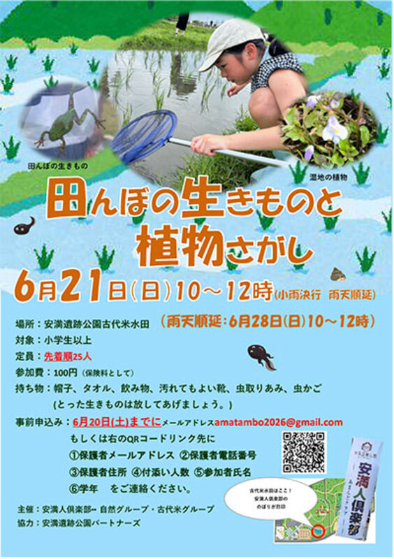 弥生時代の古代米水田でカエルやカブトエビを探そう!高槻・安満遺跡公園で田んぼイベント