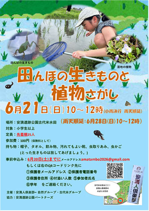 田んぼの生きものと植物さがし