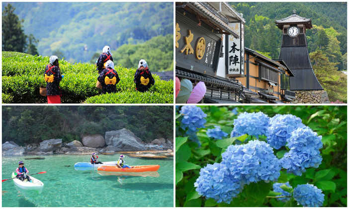 【2026関西】7月のおすすめ観光地&穴場16選 日帰り旅にも!透明な海・青いあじさい・茶畑の絶景