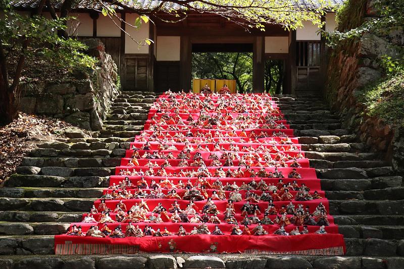 約600体のお雛様が秋に登場!重陽の節句「後の雛」を秋月城跡で開催