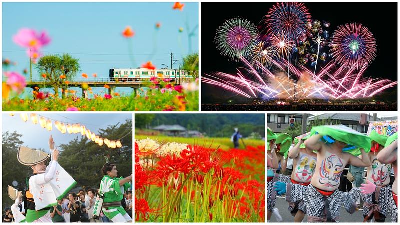 【関東】2026年9月注目イベント!秋祭りや迫力の大花火・コスモス畑・彼岸花を厳選紹介