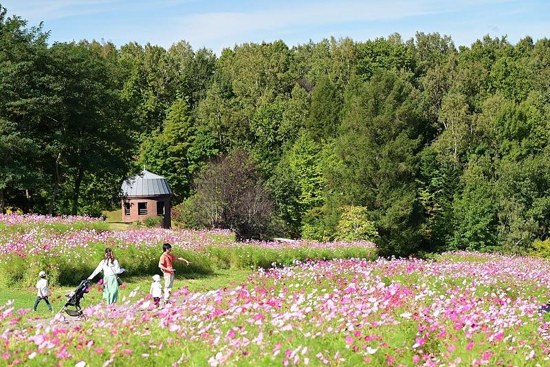 国営滝野すずらん丘陵公園で秋の色さがし「たきのオータムカラーズ2026」9月12日開幕
