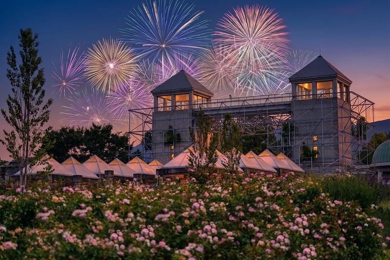秋バラ5,700株×前橋産打ち上げ花火に挑戦!ぐんまフラワーパークプラスで1周年イベント