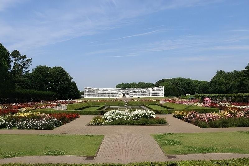 都民の日は入園無料!秋バラ咲く神代植物公園でカフェ&ブックマルシェ開催