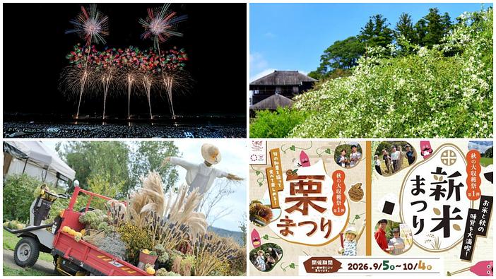 【茨城】2026年9月19日〜23日SWの秋祭り&イベント4選!3万発の大花火や収穫体験も