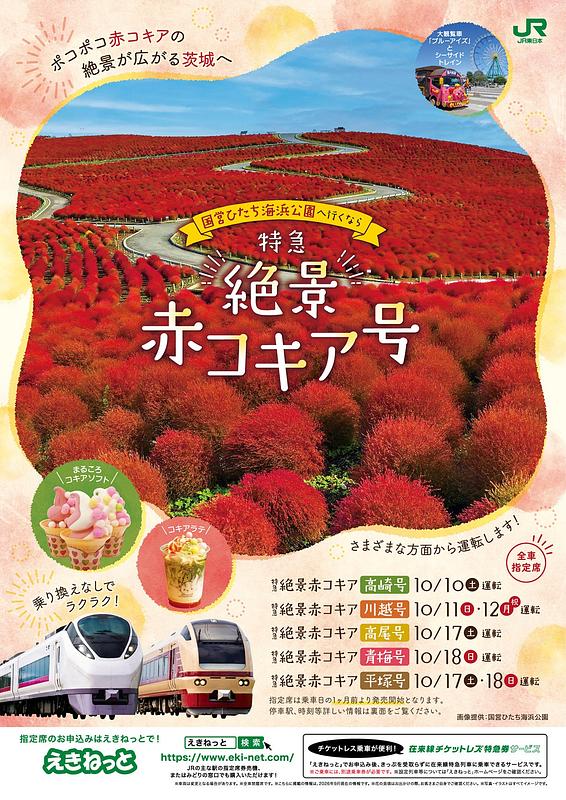 深紅のコキアに感動!特急直通列車で行くひたち海浜公園 乗り換えなしで秋の絶景へ