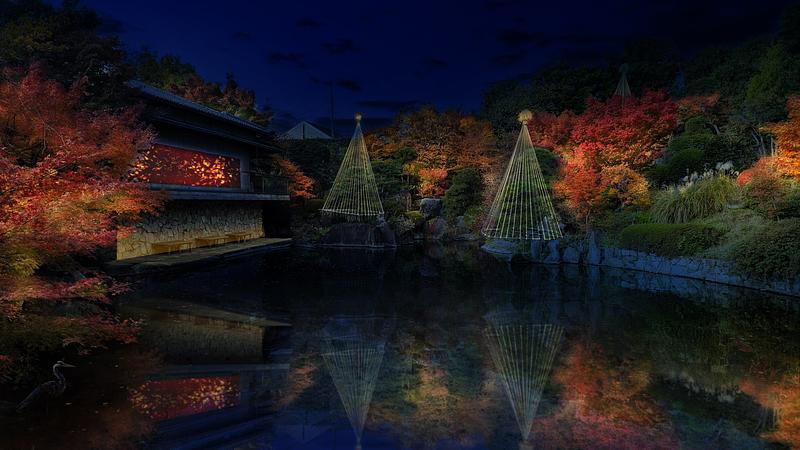 光と暗闇が織りなす、紅葉の美しさに吸い込まれる夜間庭園体験。