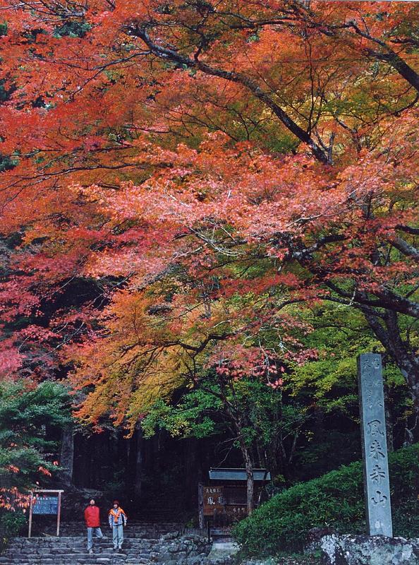 愛知県新城市の鳳来寺山で紅葉まつり開催!和太鼓・大道芸・謎解きも楽しめる秋のおでかけ