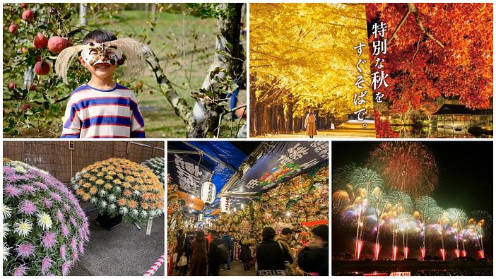 【関東】2026年11月に親子で行きたい!菊まつりや陶器市、酉の市から秋の花火大会まで注目イベントを厳選