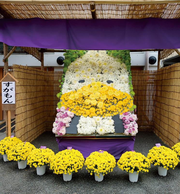 【2026最新】11月の風物詩「東京の菊まつり」5選!菊人形・茶店・コンサートを親子で満喫