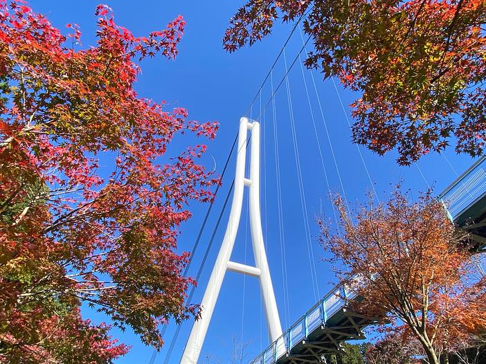 全長400mの大つり橋から紅葉と空を一望!<br/>三島スカイウォークに新展望デッキも登場