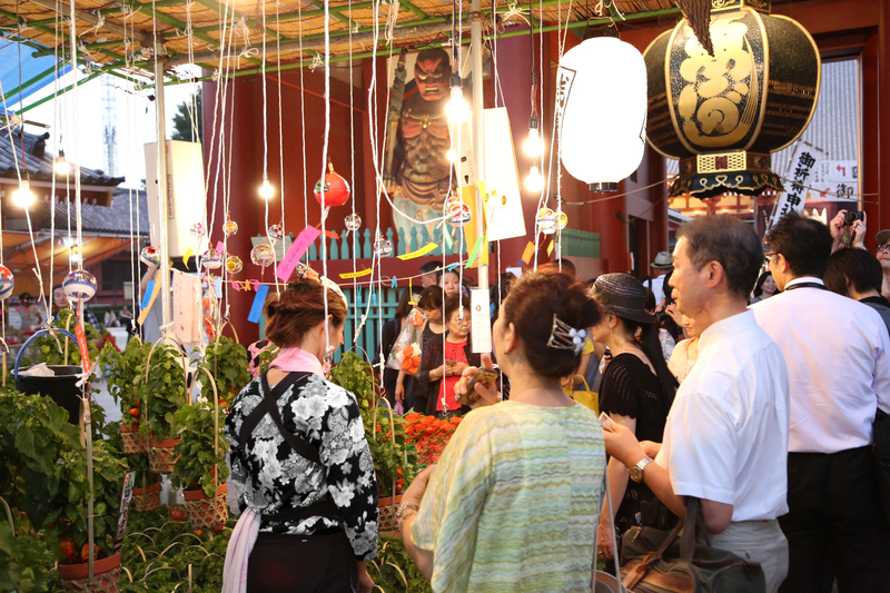 夏の風物詩・関東のほおずき市6選<br/>浅草寺では2025年7月9・10日開催