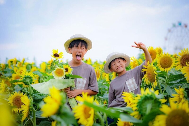 2025今が見頃も!神奈川ひまわり畑<br/>絶景名所と穴場8選&イベント紹介