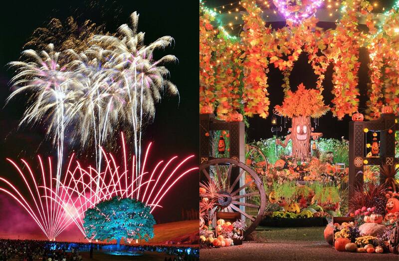 長岡花火とハロウィンが初コラボ!<br/>国営越後丘陵公園で新イベント開催