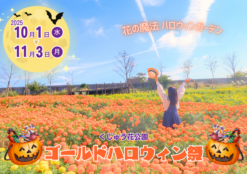 くじゅう花公園でゴールドハロウィン祭開催!秋の花畑とイベントを満喫