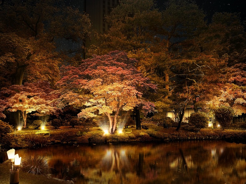 札幌の秋の夜を彩る新イベント!「中島公園紅葉ライトアップ」2025年開幕