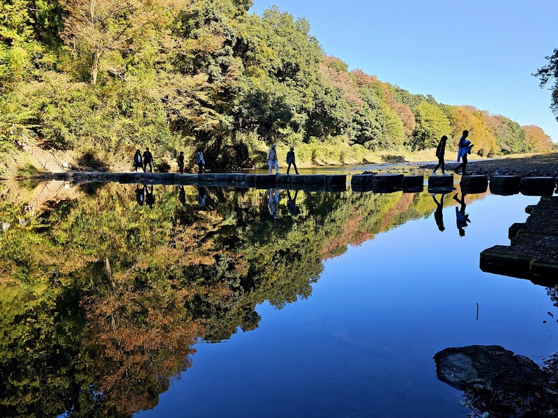 観ても食べても秋の嵐山渓谷の魅力を味わう<br/>「嵐山渓谷紅葉まつり」の見どころ