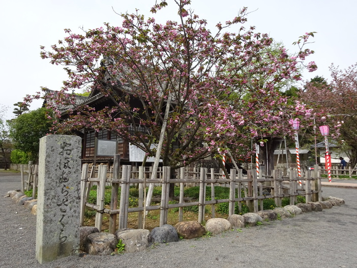 1月25日迄 大村となります！ 1月25日迄 大村となります！ 8月30日から始まった本展も 最終日まで