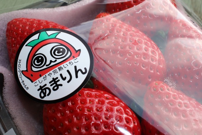 あまりん大きさ あまりんとはどんなイチゴ 糖度や旬の時期を