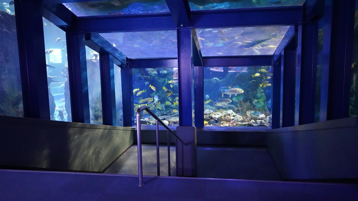 鳥羽水族館 鳥羽水族館 公式サイト