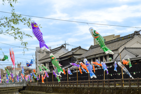 うずまの鯉のぼり | 栃木市「うずまの鯉のぼり」｜巴波川を泳ぐ