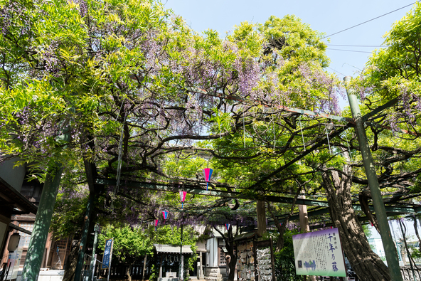 楽しい催しが盛りだくさんのおまつり（画像提供：ponta2012 / PIXTA）