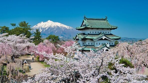 桜が満開の「弘前公園」と岩木山（イメージ画像）